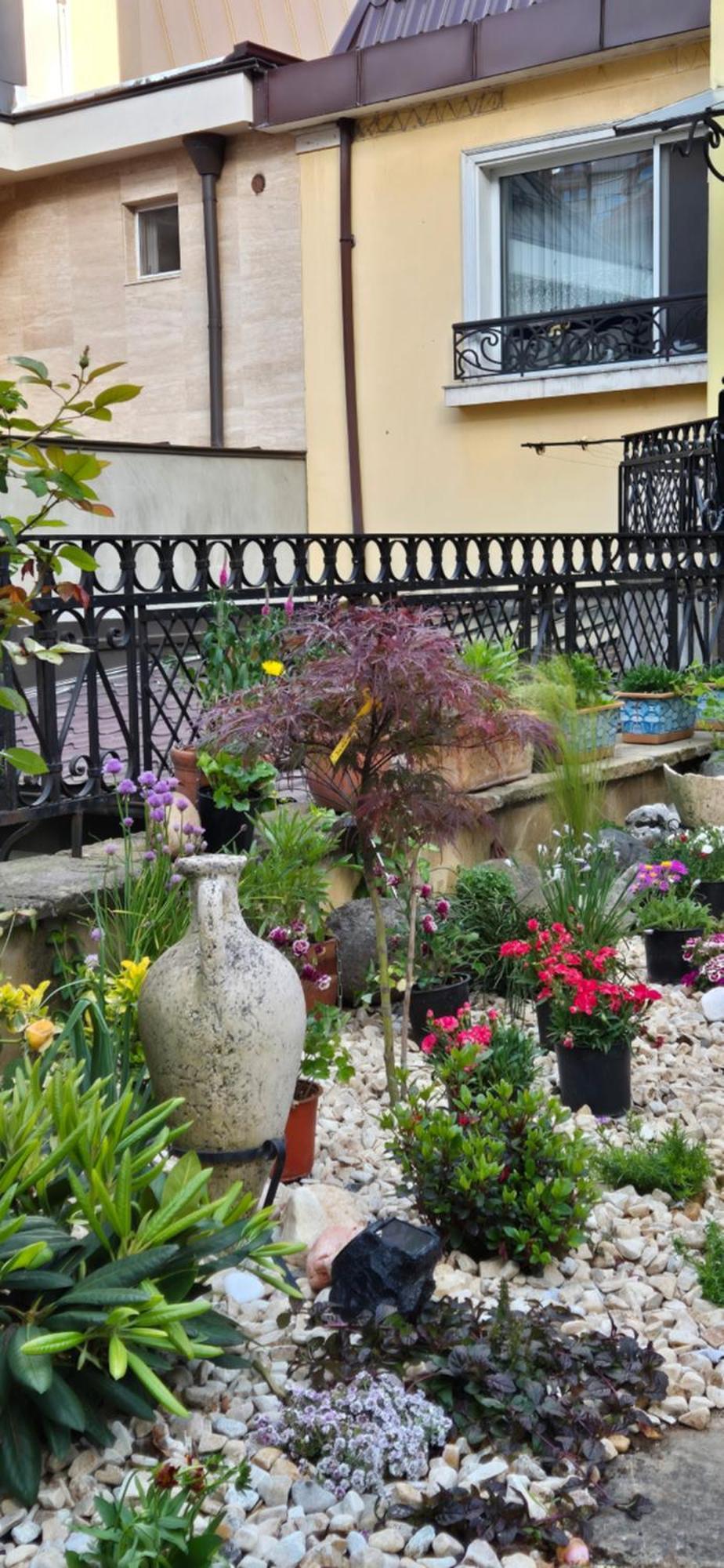 Luxury Private House In City Center ヴェリコ・タルノヴォ 部屋 写真